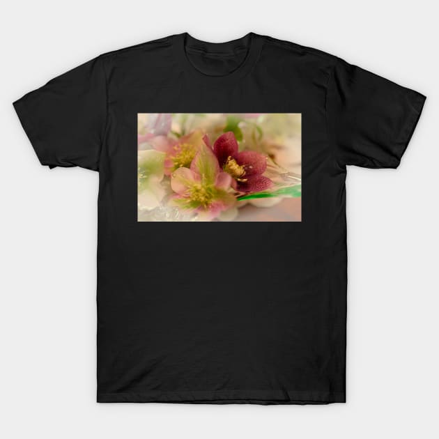 Hellebore T-Shirt by Bevlyn